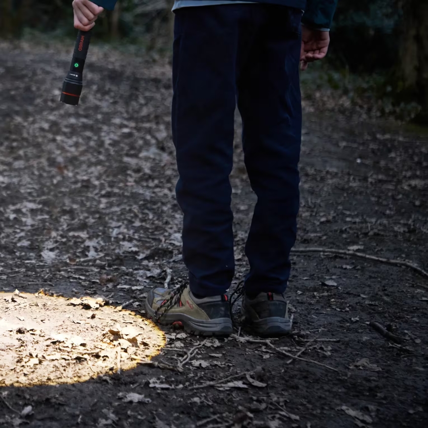 Osram - LED polnilna svetilka z zatemnitvijo LEDINSPECT PRO TORCH 1200 LED/13W/3,6V 4000 mAh IP44