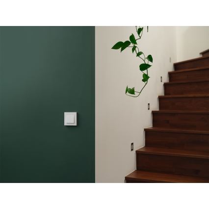 Osram - Stikalo z dvema tipkama SMART+ MATTER 230 V Wi-Fi