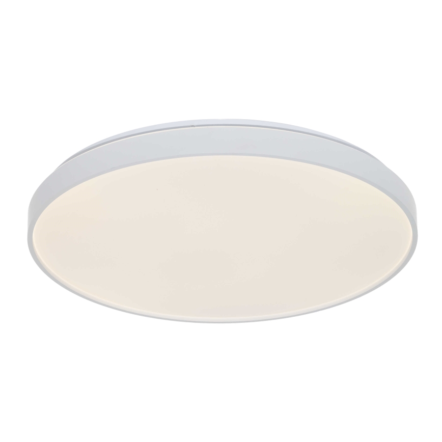Osram - stropna LED svetilka CEILING LUXO LED/60W/230V, premer 56 cm, bela