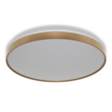 Osram - stropna LED svetilka CEILING LUXO LED/60W/230V, premer 56 cm, zlata