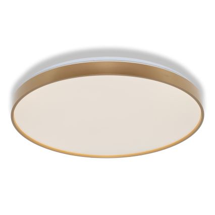 Osram - stropna LED svetilka CEILING LUXO LED/60W/230V, premer 56 cm, zlata