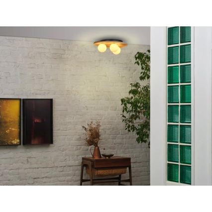 Osram - Stropna svetilka WOOD NEST 3xG9/5W/230V iz kavčukovega lesa