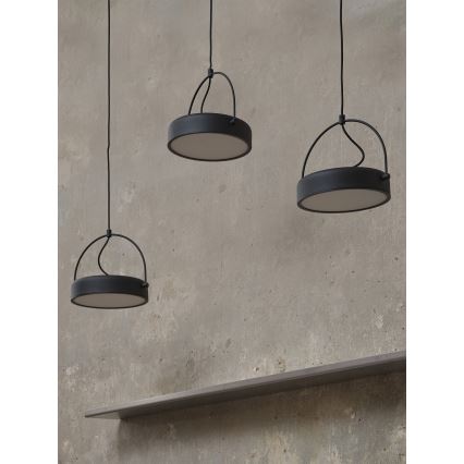 Osram - Viseči LED lestenec na kablu DECOR PUCK 3xLED/12W/230V črna