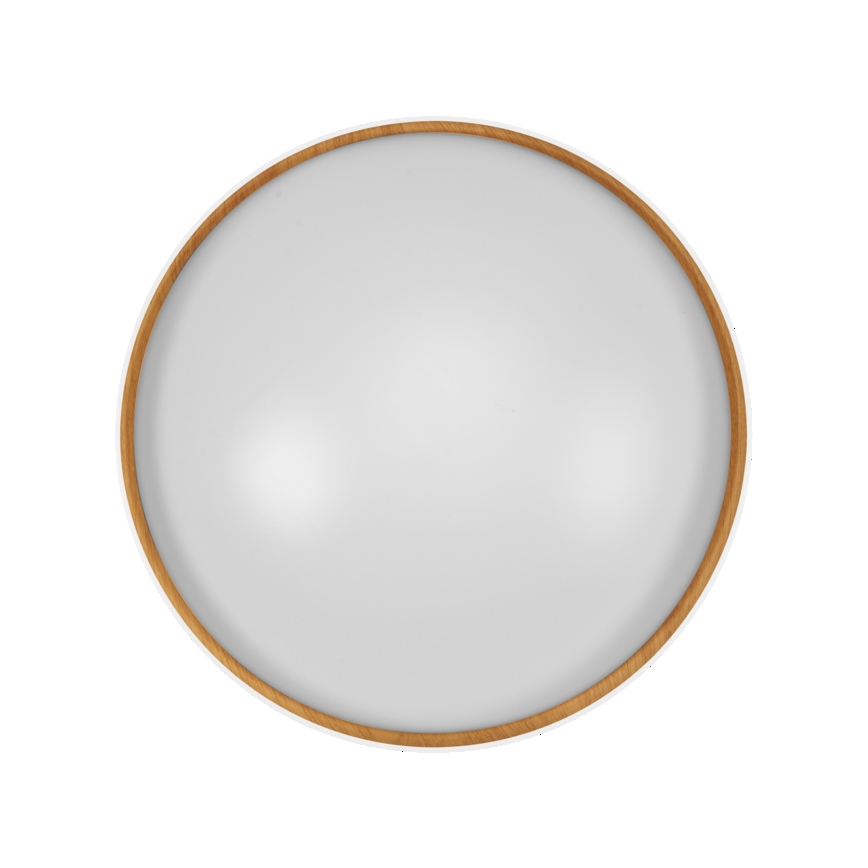 Osram - LED zatemnljivo stropno svetilo ORBIS LIVIA LED/36W/230V pr. 52 cm bela/rjava