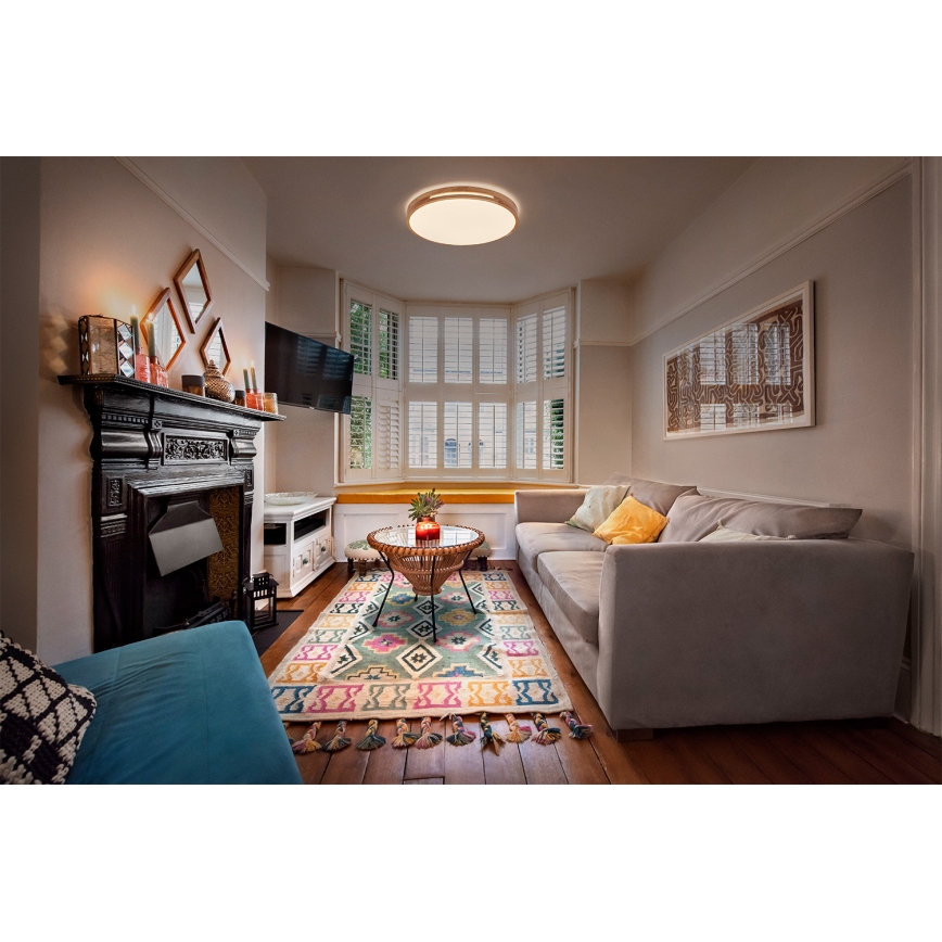 Osram - zatemnljiva LED stropna svetilka ORBIS WOODBURRY LED/16W/230V, premer 30 cm