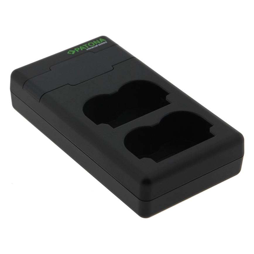PATONA - Polnilec Dual Panasonic DMW-BLF19 + kabel USB-C 0,6m