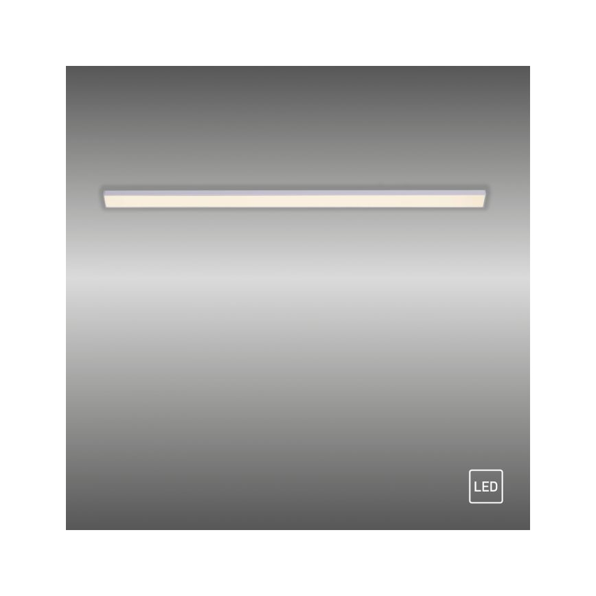 Paul Neuhaus 1125-21-A - LED Podaljšek podelementna svetilka AMON LED/6W/12/230V