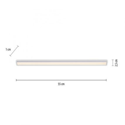 Paul Neuhaus 1125-21-A - LED Podaljšek podelementna svetilka AMON LED/6W/12/230V