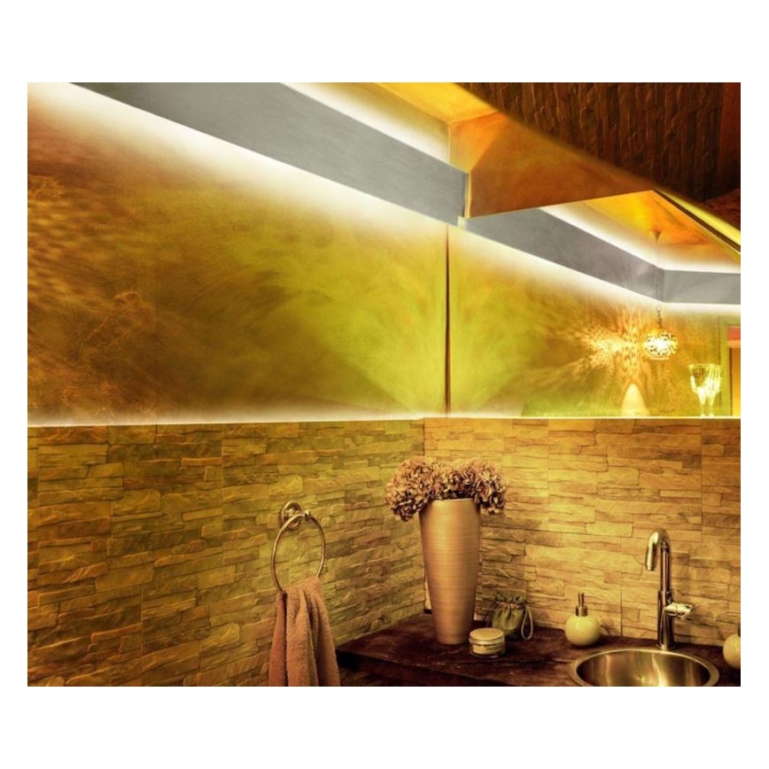 Paul Neuhaus 1205-70 - LED RGB Zatemnitveni trak TEANIA 10m LED/30W/12/230V + Daljinski upravljalnik