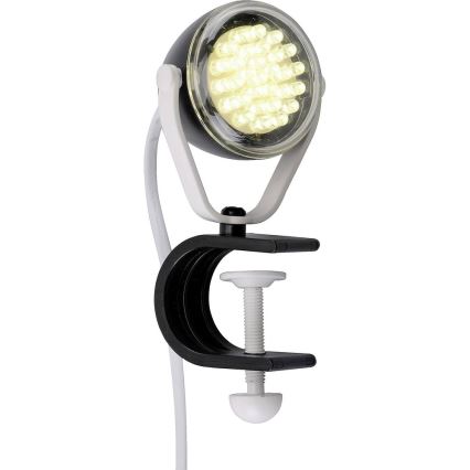 Paul Neuhaus 13073-18 - LED Svetilka PODGY LED/2W/230V