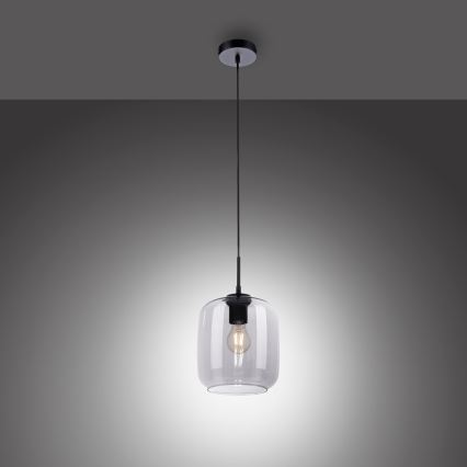 Paul Neuhaus 2002-25 - Lestenec na vrvici SHITAKE 1xE27/10W/230V pr. 20 cm dimno