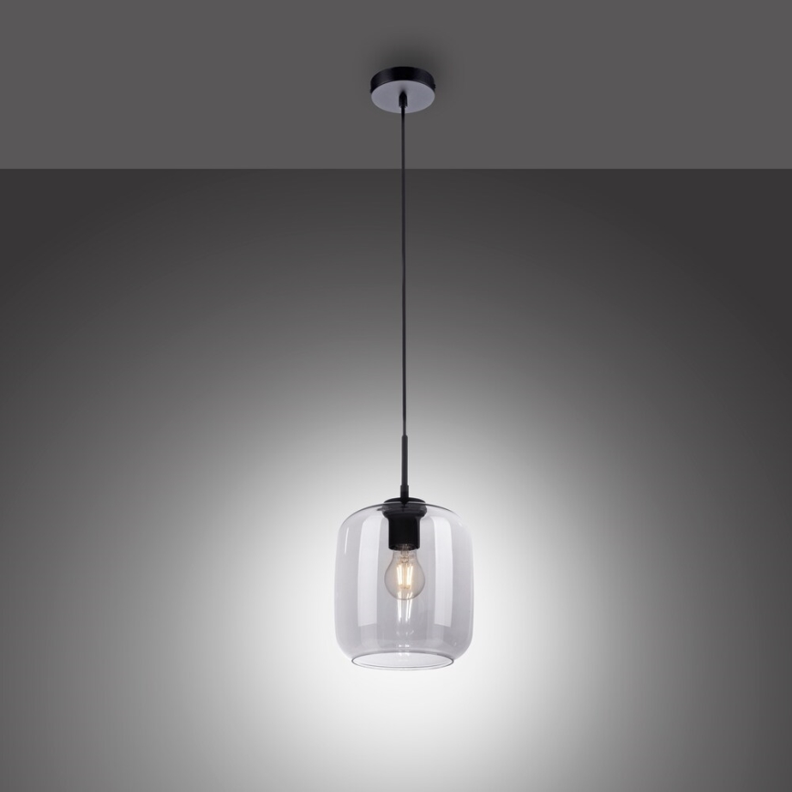Paul Neuhaus 2002-25 - Lestenec na vrvici SHITAKE 1xE27/10W/230V pr. 20 cm dimno