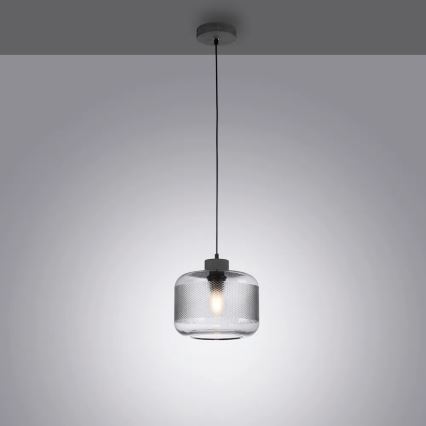 Paul Neuhaus 2005-25 - Lestenec na vrvici BOLETUS 1xE27/10W/230V pr. 23,5 cm siva