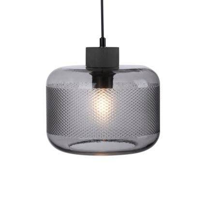 Paul Neuhaus 2005-25 - Lestenec na vrvici BOLETUS 1xE27/10W/230V pr. 23,5 cm siva