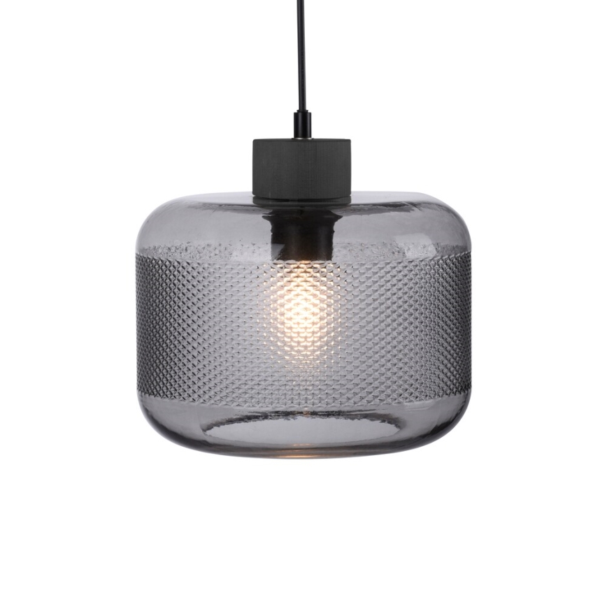 Paul Neuhaus 2005-25 - Lestenec na vrvici BOLETUS 1xE27/10W/230V pr. 23,5 cm siva