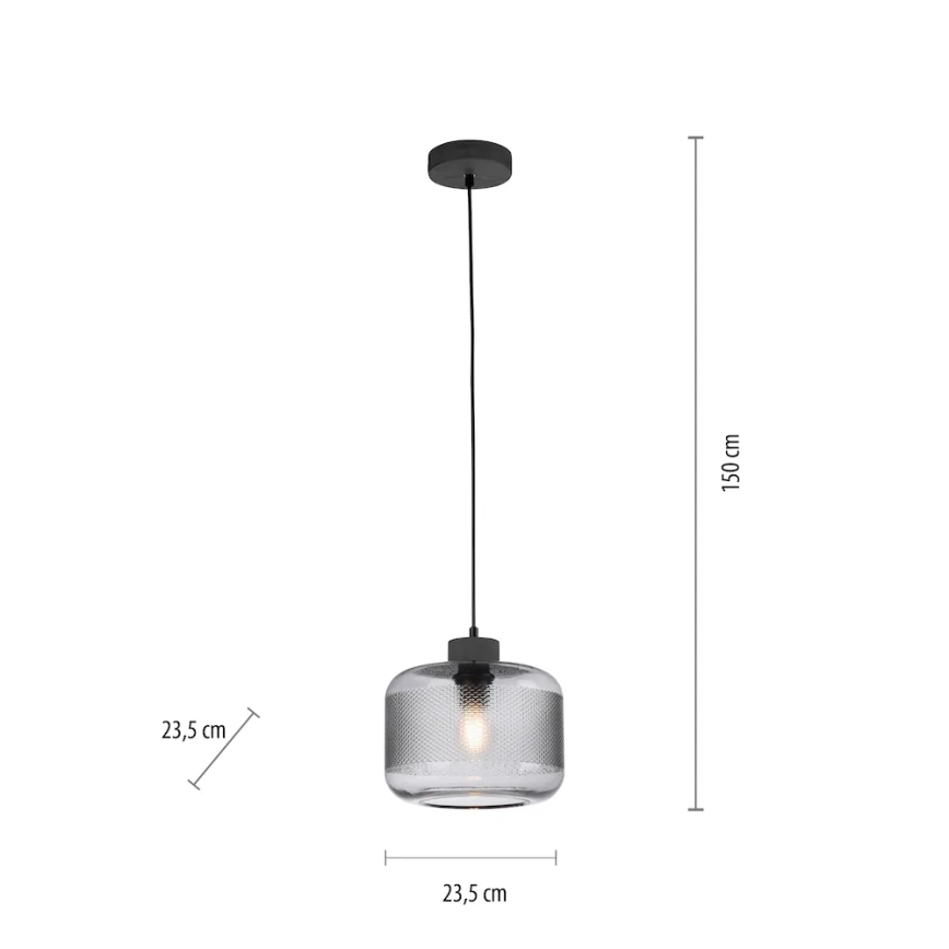 Paul Neuhaus 2005-25 - Lestenec na vrvici BOLETUS 1xE27/10W/230V pr. 23,5 cm siva