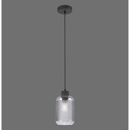 Paul Neuhaus 2006-25 - Lestenec na vrvici BOLETUS 1xE27/10W/230V pr. 14 cm siva