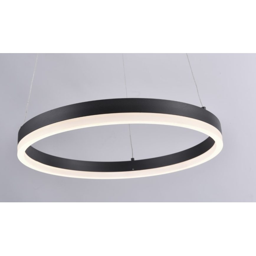 Paul Neuhaus 2381-13 - LED Zatemnitveni lestenec na vrvici TITUS LED/28W/230V