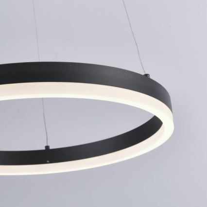 Paul Neuhaus 2381-13 - LED Zatemnitveni lestenec na vrvici TITUS LED/28W/230V