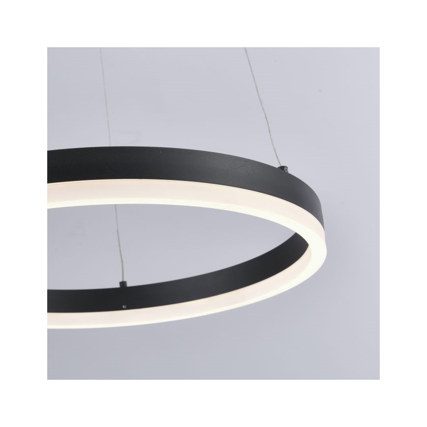 Paul Neuhaus 2381-13 - LED Zatemnitveni lestenec na vrvici TITUS LED/28W/230V