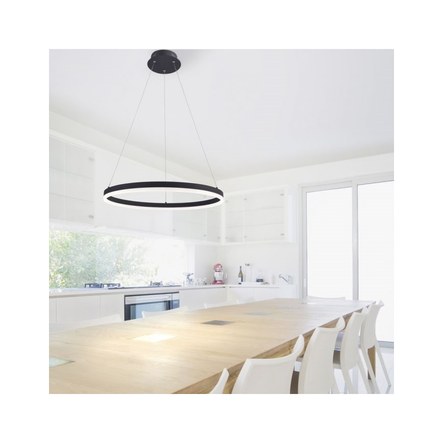 Paul Neuhaus 2382-13 - LED Zatemnitveni lestenec na vrvici TITUS LED/38,5W/230V