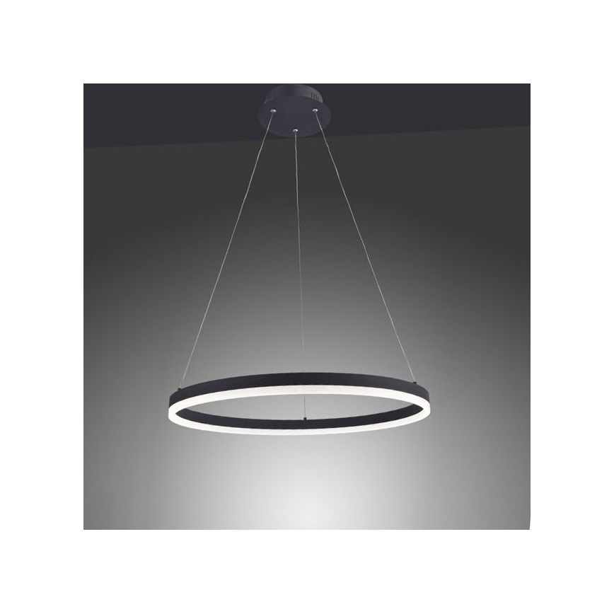 Paul Neuhaus 2382-13 - LED Zatemnitveni lestenec na vrvici TITUS LED/38,5W/230V