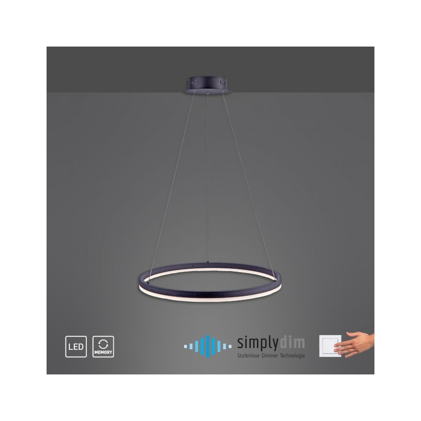 Paul Neuhaus 2382-13 - LED Zatemnitveni lestenec na vrvici TITUS LED/38,5W/230V