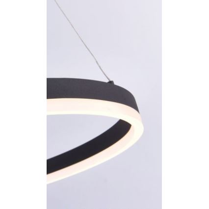 Paul Neuhaus 2382-13 - LED Zatemnitveni lestenec na vrvici TITUS LED/38,5W/230V