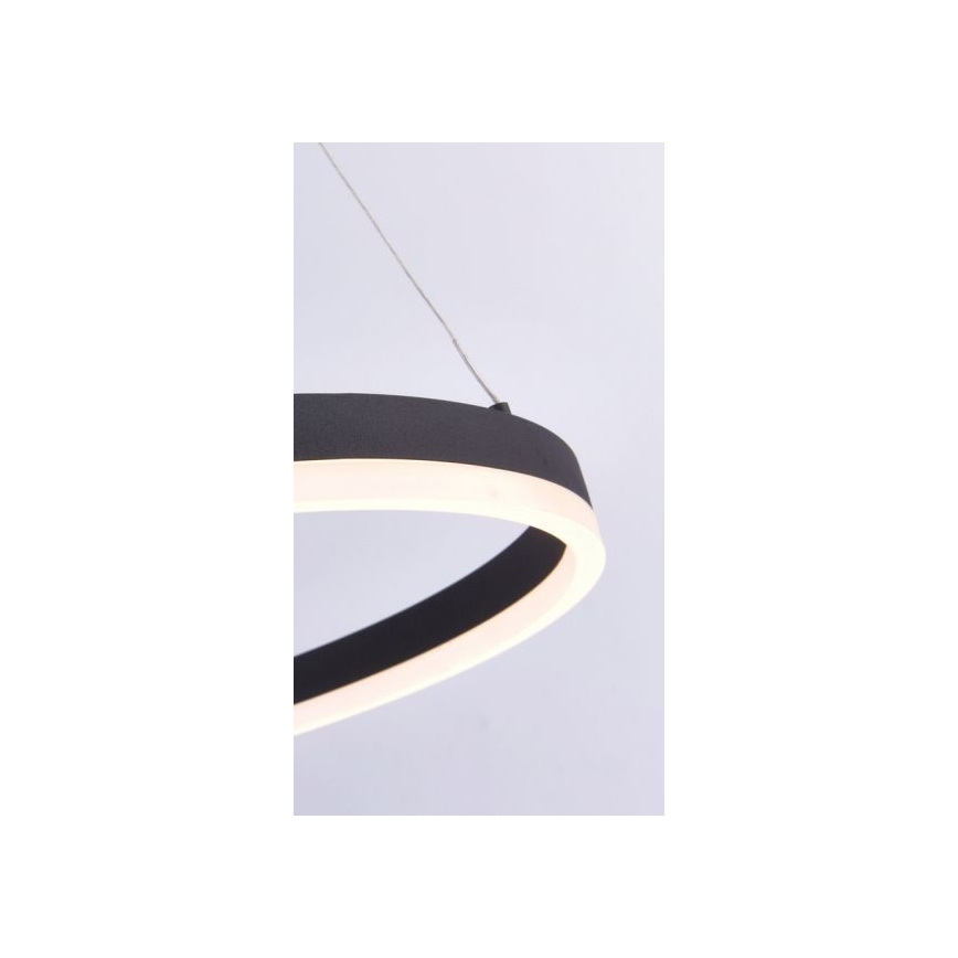 Paul Neuhaus 2382-13 - LED Zatemnitveni lestenec na vrvici TITUS LED/38,5W/230V