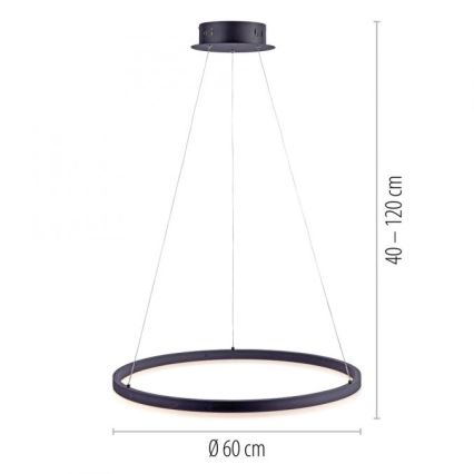 Paul Neuhaus 2382-13 - LED Zatemnitveni lestenec na vrvici TITUS LED/38,5W/230V