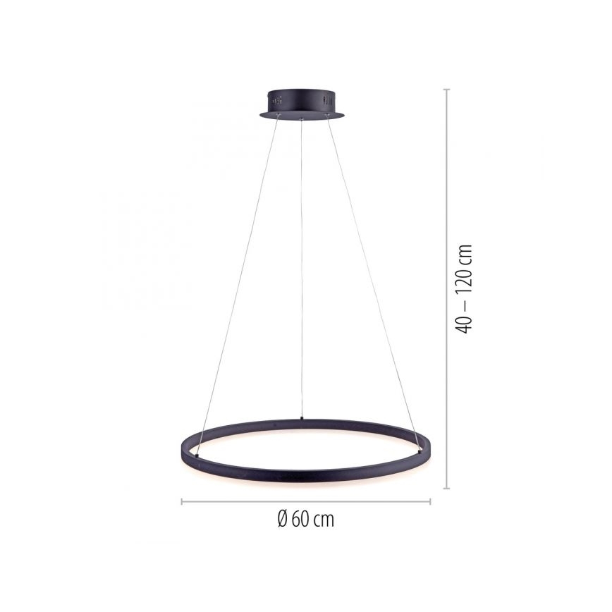 Paul Neuhaus 2382-13 - LED Zatemnitveni lestenec na vrvici TITUS LED/38,5W/230V