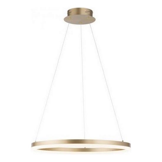 Paul Neuhaus 2382-60 - LED Zatemnitveni lestenec na vrvici TITUS LED/38,5W/230V