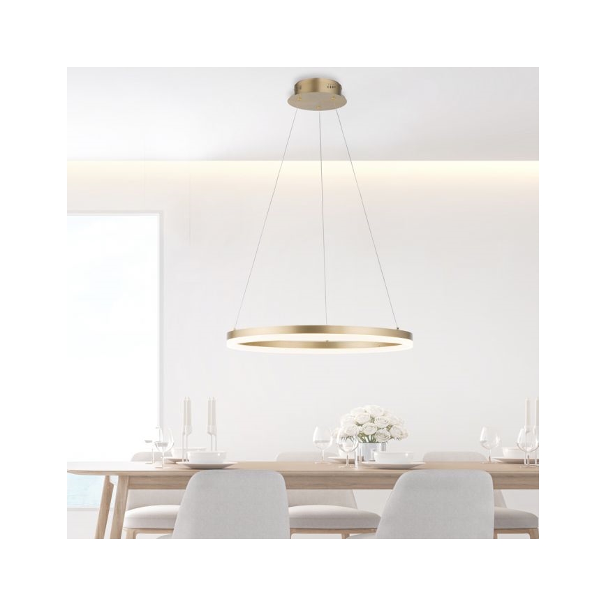 Paul Neuhaus 2382-60 - LED Zatemnitveni lestenec na vrvici TITUS LED/38,5W/230V