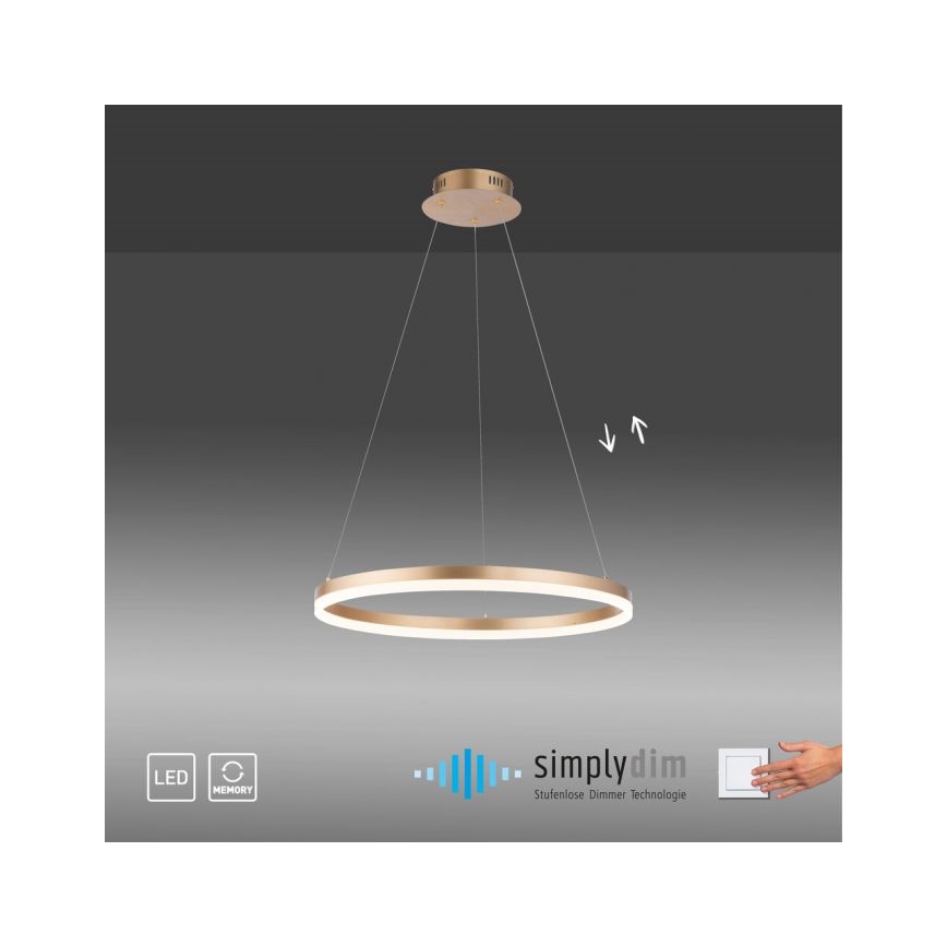Paul Neuhaus 2382-60 - LED Zatemnitveni lestenec na vrvici TITUS LED/38,5W/230V