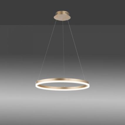 Paul Neuhaus 2382-60 - LED Zatemnitveni lestenec na vrvici TITUS LED/38,5W/230V