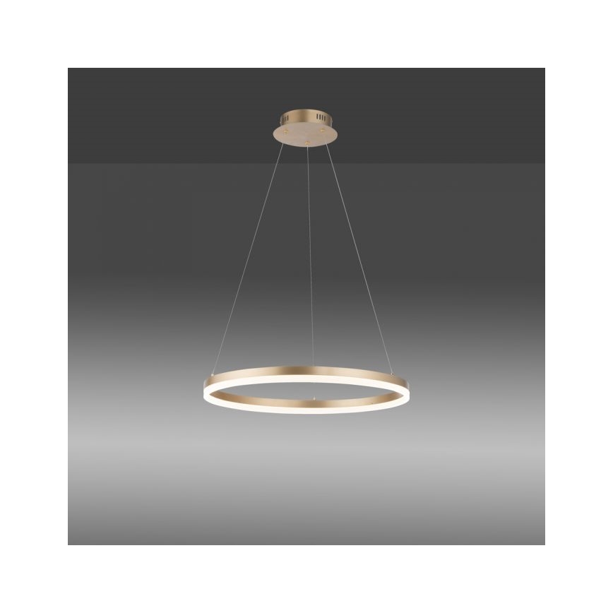 Paul Neuhaus 2382-60 - LED Zatemnitveni lestenec na vrvici TITUS LED/38,5W/230V