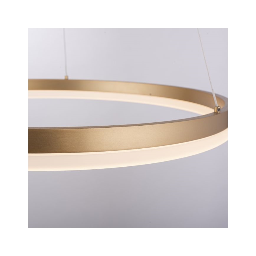 Paul Neuhaus 2382-60 - LED Zatemnitveni lestenec na vrvici TITUS LED/38,5W/230V