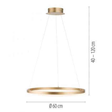 Paul Neuhaus 2382-60 - LED Zatemnitveni lestenec na vrvici TITUS LED/38,5W/230V