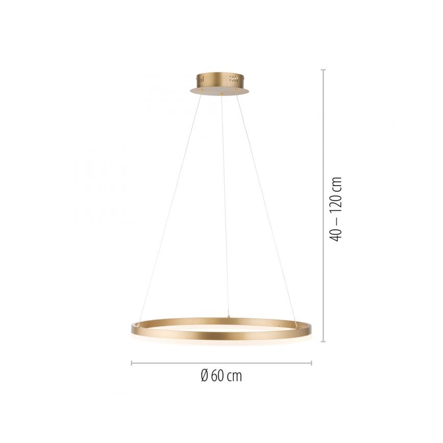 Paul Neuhaus 2382-60 - LED Zatemnitveni lestenec na vrvici TITUS LED/38,5W/230V