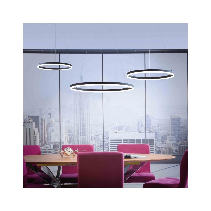 Paul Neuhaus 2383-13 - LED Zatemnitveni lestenec na vrvici TITUS LED/50W/230V
