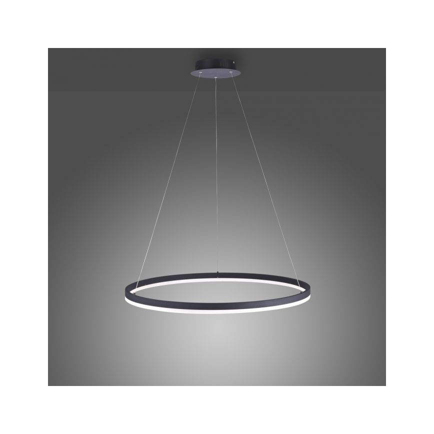 Paul Neuhaus 2383-13 - LED Zatemnitveni lestenec na vrvici TITUS LED/50W/230V