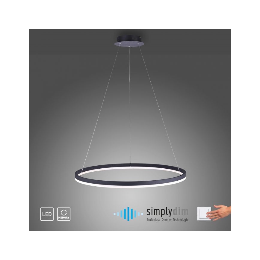 Paul Neuhaus 2383-13 - LED Zatemnitveni lestenec na vrvici TITUS LED/50W/230V