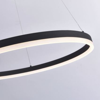Paul Neuhaus 2383-13 - LED Zatemnitveni lestenec na vrvici TITUS LED/50W/230V