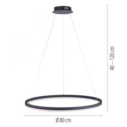 Paul Neuhaus 2383-13 - LED Zatemnitveni lestenec na vrvici TITUS LED/50W/230V