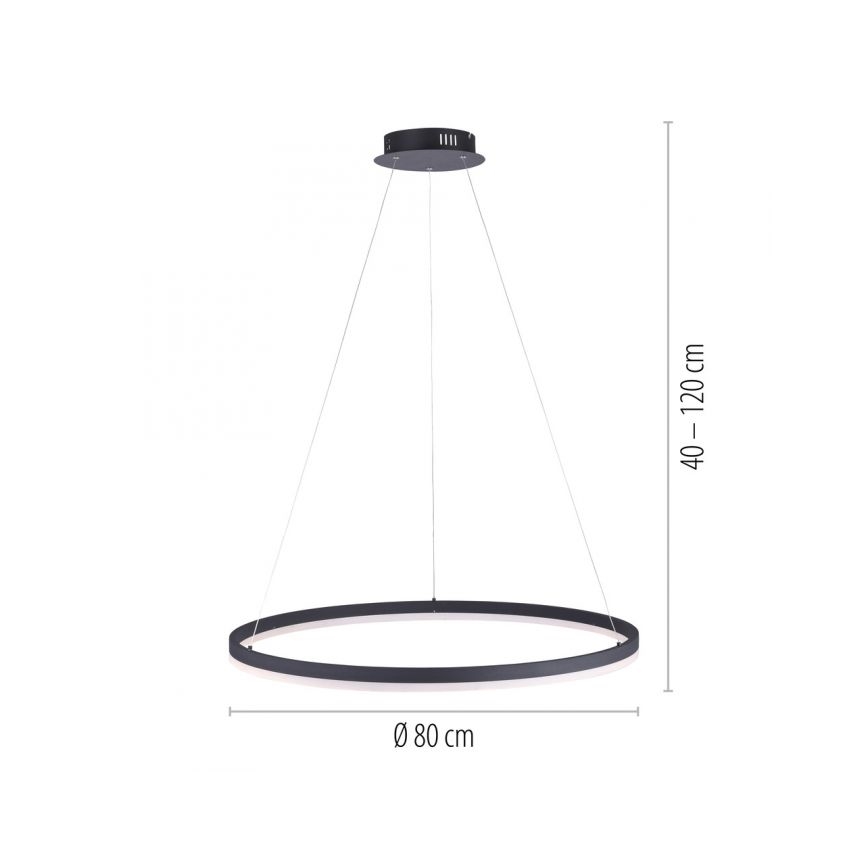 Paul Neuhaus 2383-13 - LED Zatemnitveni lestenec na vrvici TITUS LED/50W/230V