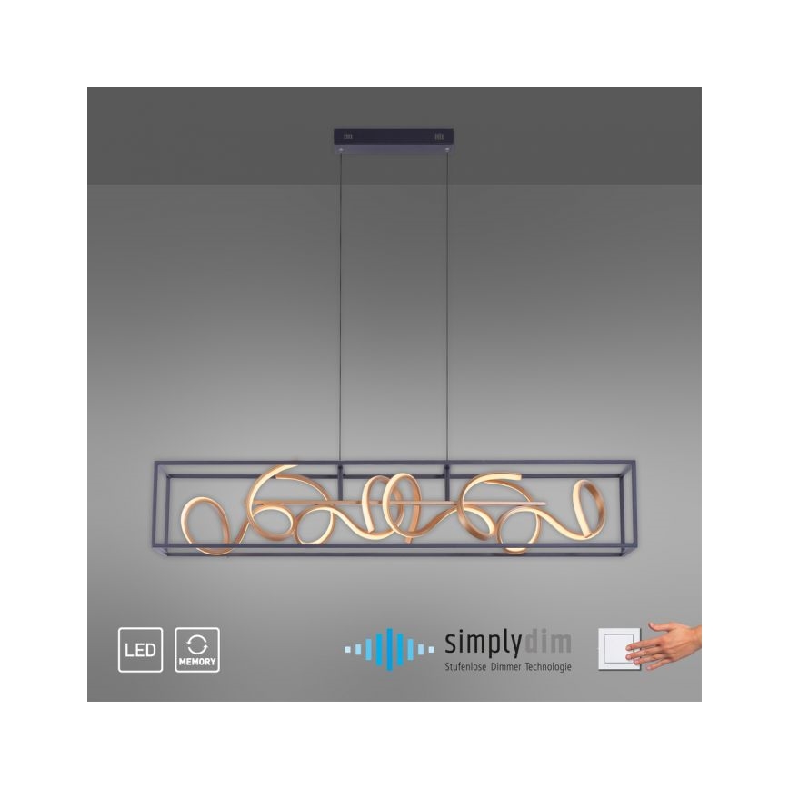 Paul Neuhaus 2416-18 - LED Zatemnitveni lestenec na vrvici SELINA 4xLED/10,2W/230V