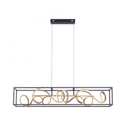 Paul Neuhaus 2416-18 - LED Zatemnitveni lestenec na vrvici SELINA 4xLED/10,2W/230V