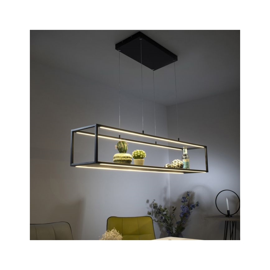 Paul Neuhaus 2441-18 - LED Zatemnitveni lestenec na vrvici CONTURA 4xLED/8W/230V