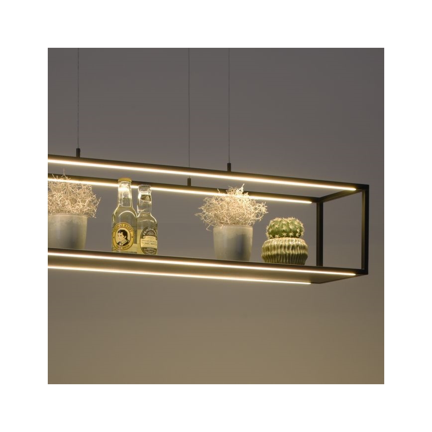 Paul Neuhaus 2441-18 - LED Zatemnitveni lestenec na vrvici CONTURA 4xLED/8W/230V