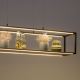 Paul Neuhaus 2441-18 - LED Zatemnitveni lestenec na vrvici CONTURA 4xLED/8W/230V